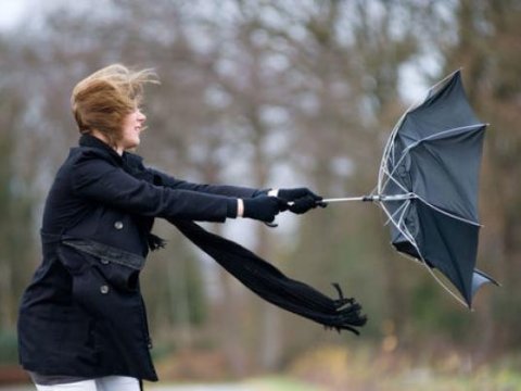 Nazirlikdən küləklə bağlı əhaliyə MÜRACİƏT