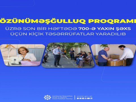 Bir həftədə 700-ə yaxın şəxs üçün kiçik təsərrüfatlar yaradılıb