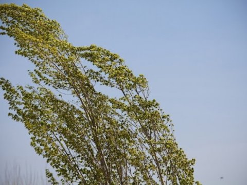 Güclü külək, yağış, leysan - Günün havası