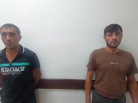 Narkotik saxlamaqda və yetişdirməkdə şübhəli bilinən şəxslər tutuldu