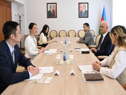 Bugünkü hərracda 32 milyon dollar satılıb