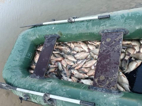 Arpaçayda qanunsuz balıq ovlayanlar saxlanıldı