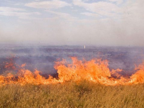 Nazirlik fermerlərə müraciət etdi