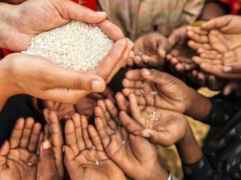 735 milyon insan aclıqdan əziyyət çəkir - HESABAT