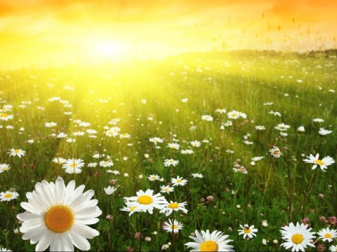 Günün havası - 36 dərəcə isti, yağış