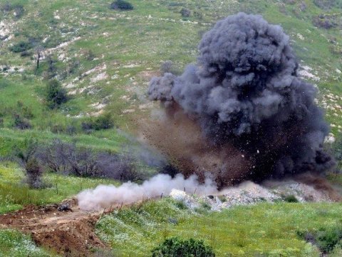 Ombudsmandan arıçının minaya düşməsinə REAKSİYA