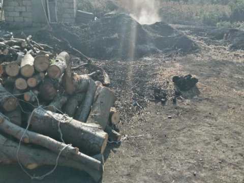 Qanunsuz kömür istehsalı aşkarlandı 