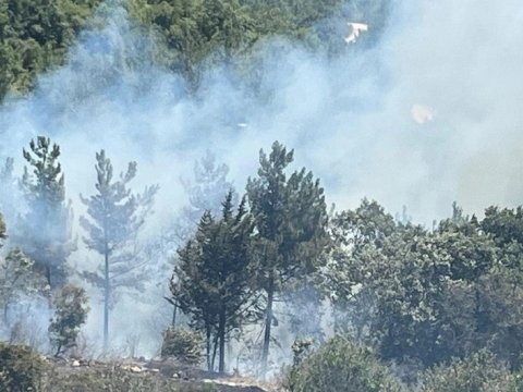 Osmaniyədə meşə yanğını - FOTO