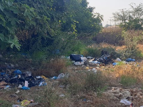 Masallıda ətraf mühiti zibilləyənlər CƏZALANDIRILDI