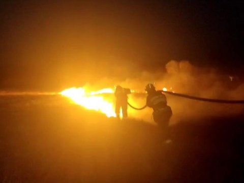 Naxçıvanda taxıl sahəsində YANĞIN