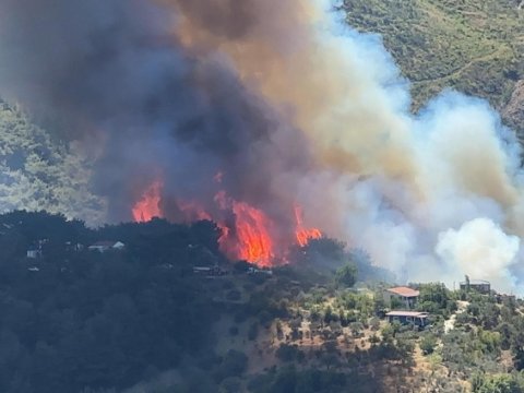Türkiyədə meşə yanğınları DAVAM EDİR