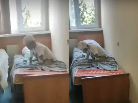 TƏBİB it dişləyən uşaqla bağlı məlumat YAYDI