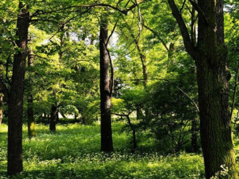 Payız əkin mövsümü hazırlıqlarına başlanılıb