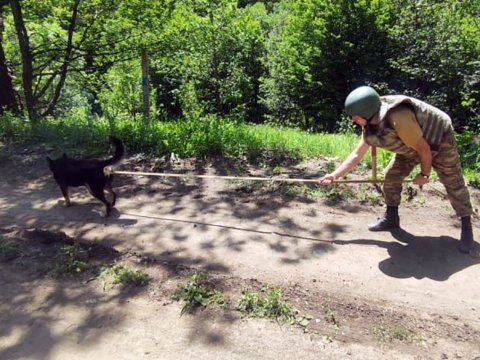Ötən ay 610 hektar ərazi minalardan təmizlənib