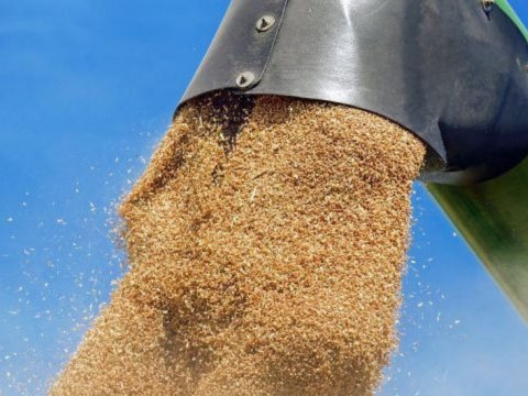 Rusiyanın taxıl sazişindən çıxması qiymətləri bahalaşdıracaq