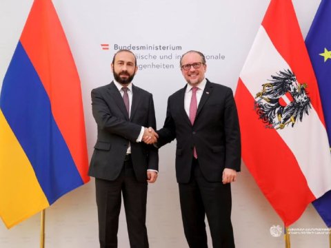 Mirzoyan Avstriya XİN başçısı ilə görüşdü