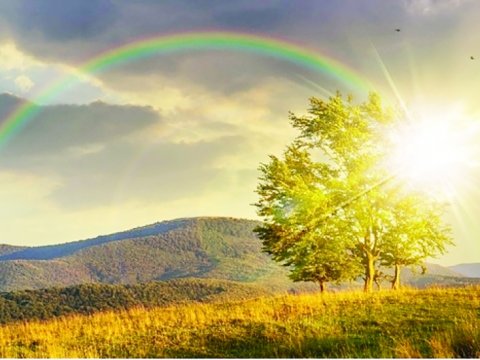 Bu gün 33 dərəcə isti olacaq