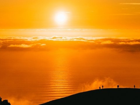 Avropa istiləşdikcə, sağlamlıq riskləri artır 