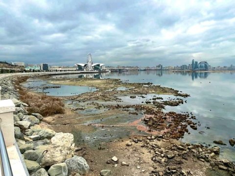 Xəzərdə böyük təhlükə -2030-cu ildən sonra...