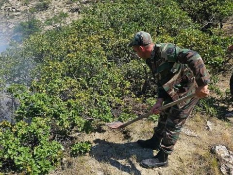 Xızıda dağlıq ərazidə YANĞIN