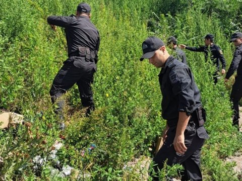 DTX və DİN Laçında əməliyyat KEÇİRDİ