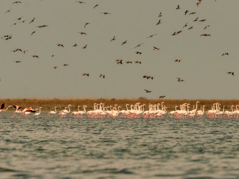 Yarımadadan adaya çevrilən Kür-dili