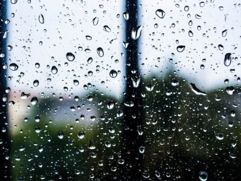 Yağış, külək, 38 dərəcə isti - Günün havası