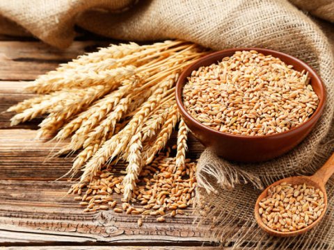 Azərbaycan buğda idxalını artırdı