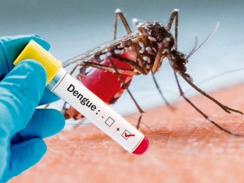 Denge qızdırması ilə bağlı XƏBƏRDARLIQ