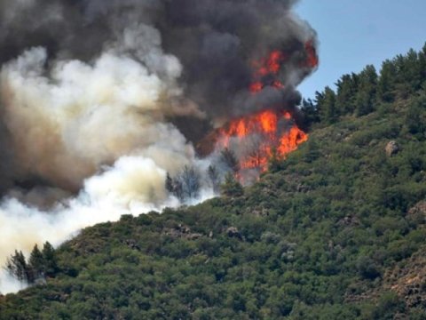 Xaçmazdakı yanğın söndürüldü - VİDEO