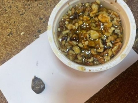 Ana həbsdə olan oğluna narkotik apardı