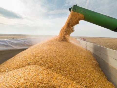 Rusiyanın taxıl sazişindən çıxması Azərbaycanın XEYRİNƏDİR