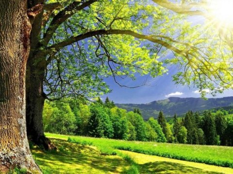 Sabah 35 dərəcə isti olacaq