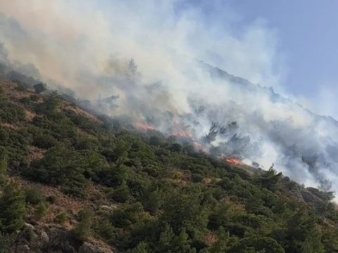 Türkiyədə meşə yanğınları 36 saatdır davam edir