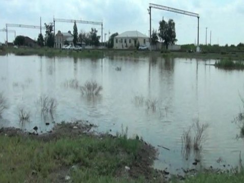 Goranboyda sel fəsadlar törətdi - Heyvanlar tələf oldu