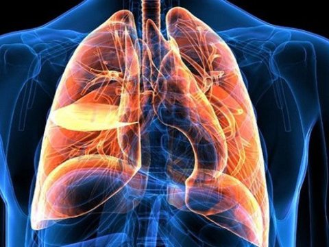 Ağciyər xəstələri də əlillik dərəcələri ala bilərlər - YENİ QƏRAR