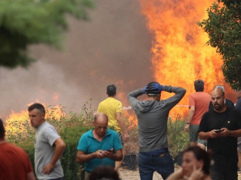 40-dan çox insan meşə yanğınının qurbanı oldu