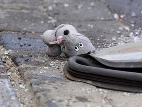 6 yaşlı uşağı maşın vurdu