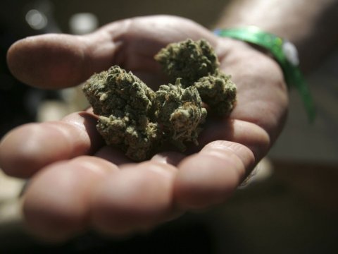 Binəqədidə 80 nəfər narkotikə görə saxlanılıb