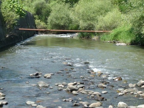 Baş Prokurorluqdan Oxçuçayla bağlı MÜRACİƏT
