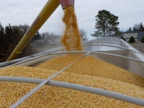 Türkiyə taxıl sazişini 1 il uzatmaq istəyir