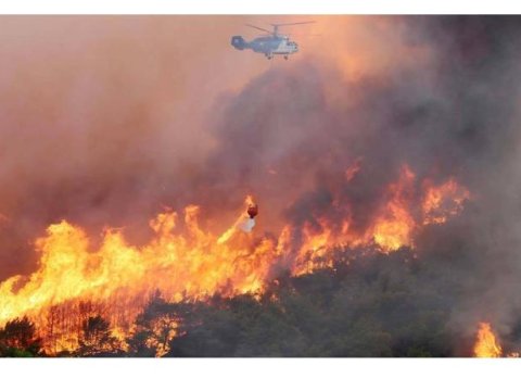 Kahramanmaraşda meşə yanğını - Helikopterlər cəlb edildi