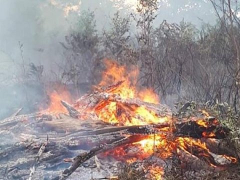 Xaçmazda meşə massivinin yaxınlığında YANĞIN