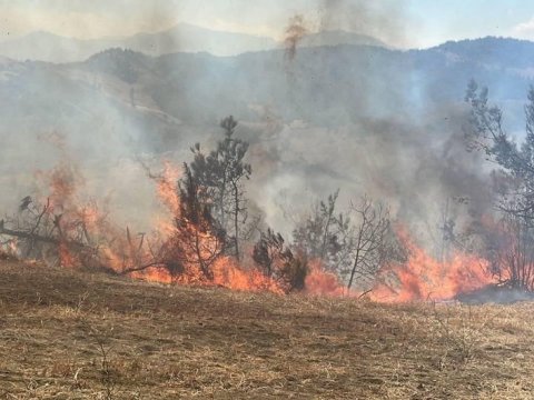 Qızılağac Milli Parkında YANĞIN