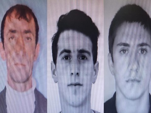 Mal-qara oğurlamaqda şübhəli bilinənlər tutuldu