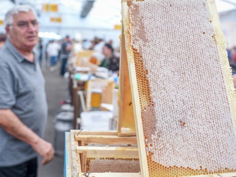 Bal istehsalı az olub, qiymətlər artacaq - Saxta bal satanlar çoxalacaq...