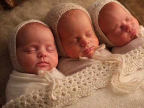 Bu il 1580 əkiz, 75 üçəm, 4 dördəm doğulub