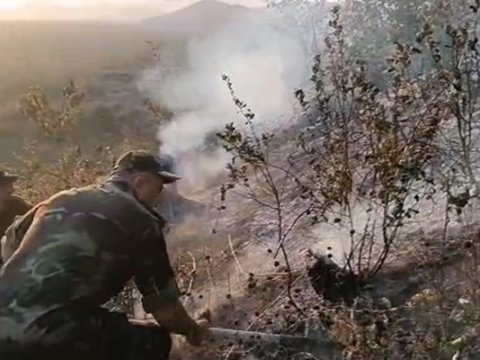 Qəbələdəki yanğın söndürüldü