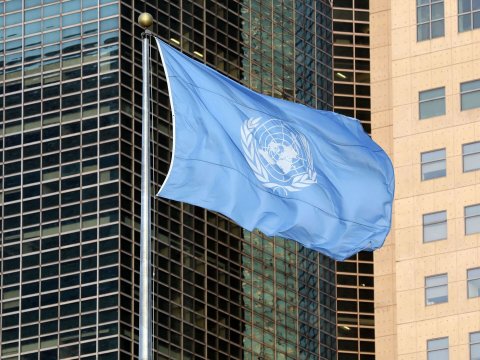 Diaspor təşkilatları və Koordinasiya Şuralarının BƏYANATI