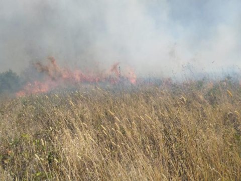 Şamaxıda dağlıq ərazidə yanğın tam söndürüldü - YENİLƏNİB